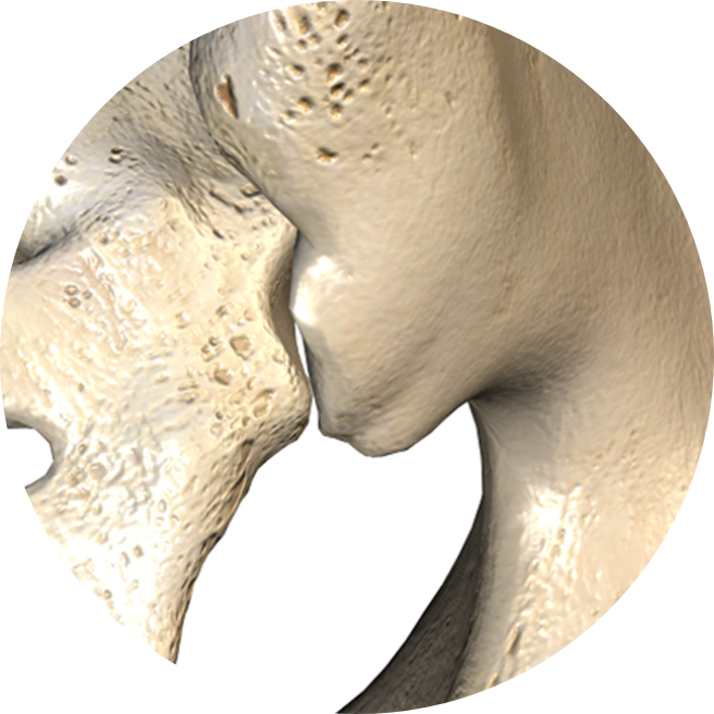 si joint 3d view